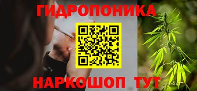 МДПВ Канаш