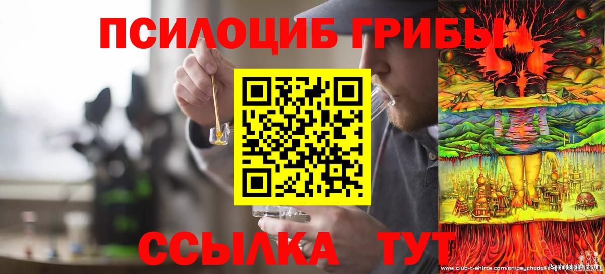 Галлюциногенные грибы прущие грибы Вятские Поляны