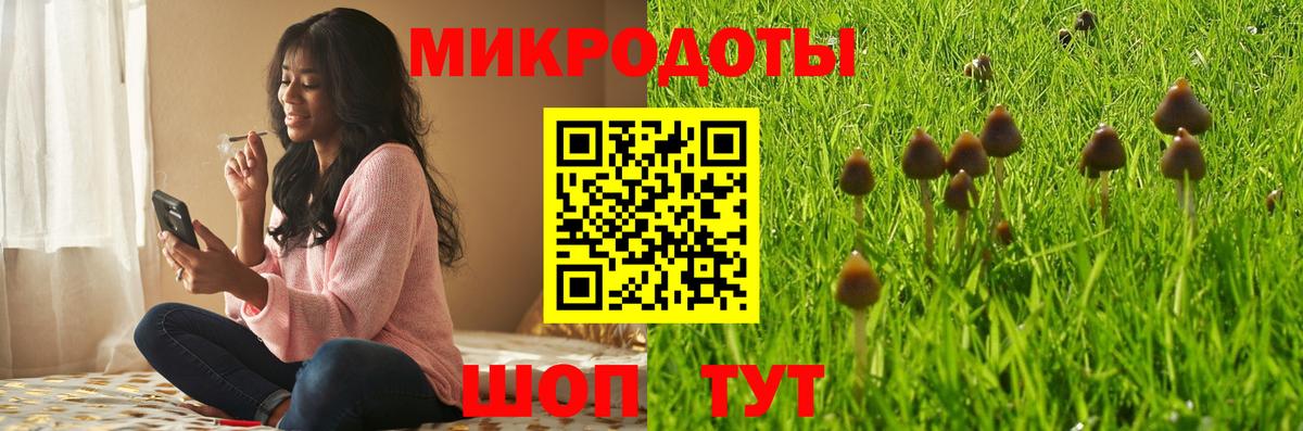 Галлюциногенные грибы Cubensis  Псилоцибиновые грибы GOLDEN TEACHER  Вход с VPN  Вятские Поляны 